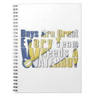 Waterboy Volleyball in Blue and Yellow