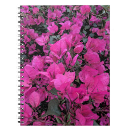 Cuaderno Watercolor-Bougainvillea
