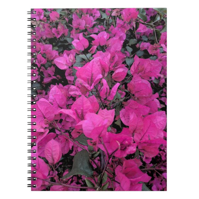 Cuaderno Watercolor-Bougainvillea (Frente)