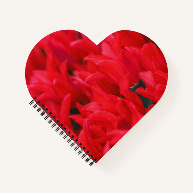 Cuaderno Waves de Crimson (Anverso)