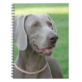 Cuaderno Weimaraner