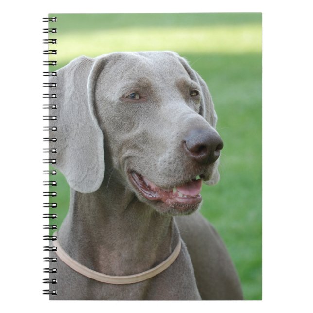 Cuaderno Weimaraner (Frente)