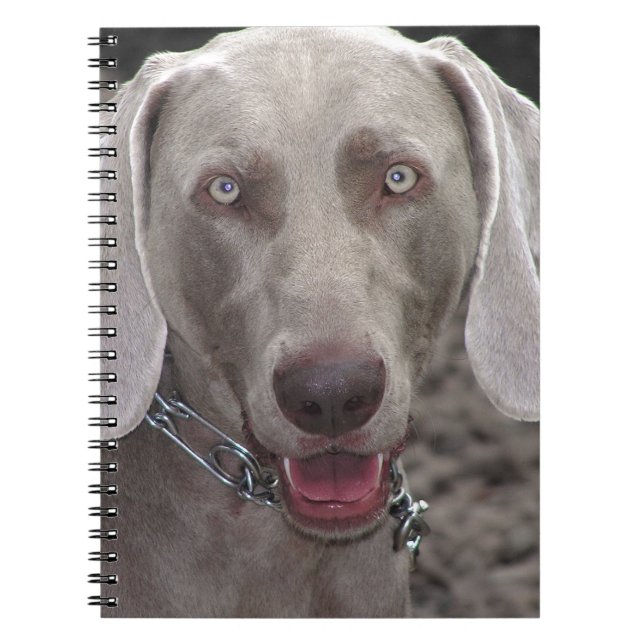 Cuaderno Weimaraner (Frente)