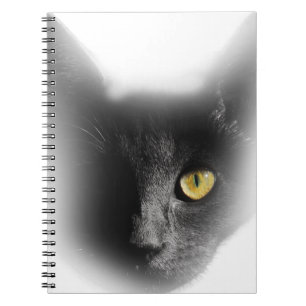 Cuaderno Wellcoda un gatito extraño observado del gato