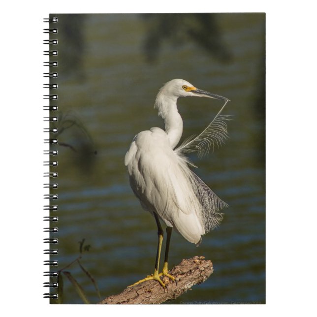 Cuaderno White Egret Spiral Photo Notebook (Frente)