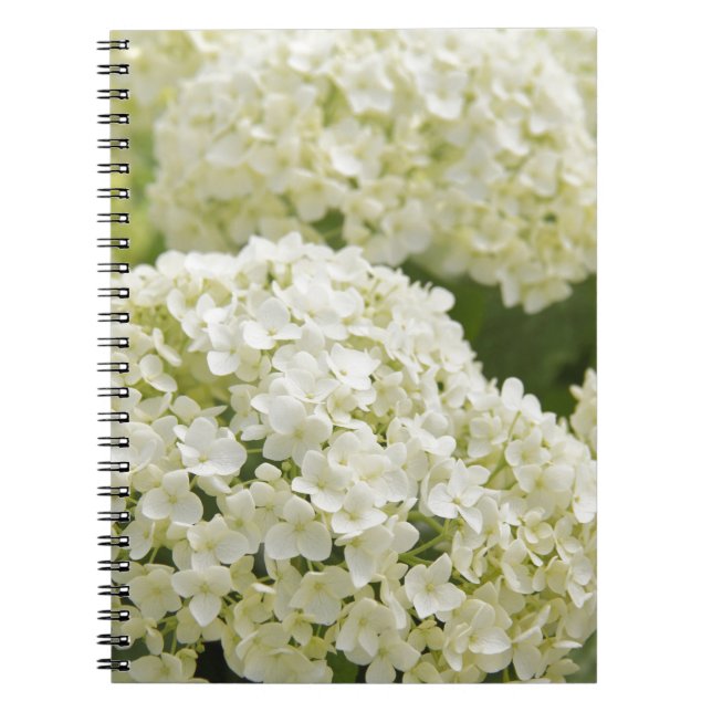 Cuaderno White Hydrangea (Frente)