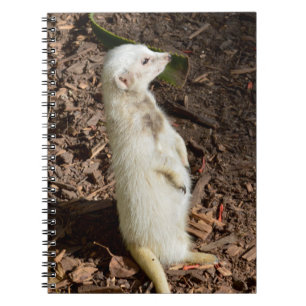 Cuaderno White Meerkat Standing , Bloc de notas