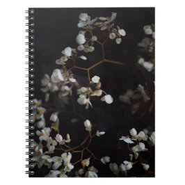 Cuaderno White moody flowers on dark background