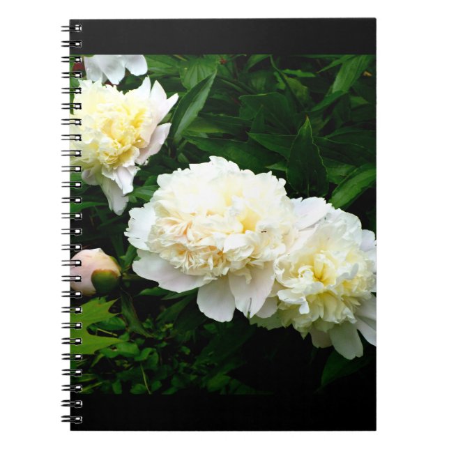 Cuaderno White Peony Trio (Frente)