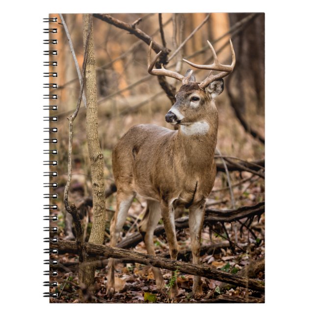 Cuaderno White Tail Deer Buck (Frente)
