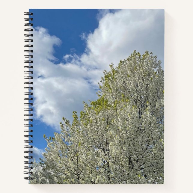 Cuaderno White Tree Blue Sky Clouds Photo (Anverso)