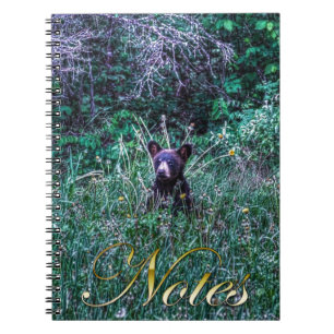 Cuaderno Wild Black Bear Cub Wildlife Photo