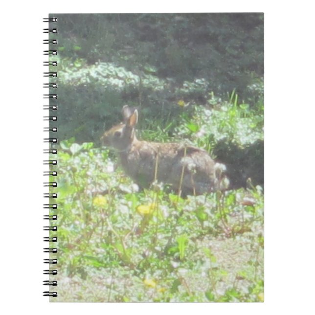Cuaderno Wild Bunny Notebook (Frente)
