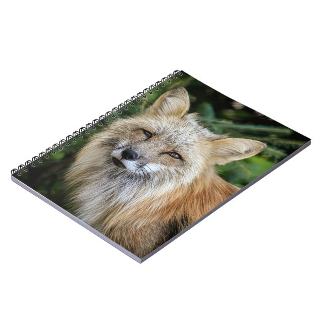 Cuaderno Wild Fox (Lado Izquierdo)