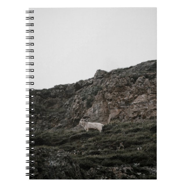 CUADERNO WILD GOAT (Frente)