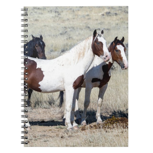 CUADERNO WILD HORSES (Frente)