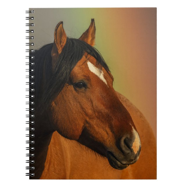 Cuaderno Wild Stallion, Golden Light and Rainbow (Frente)