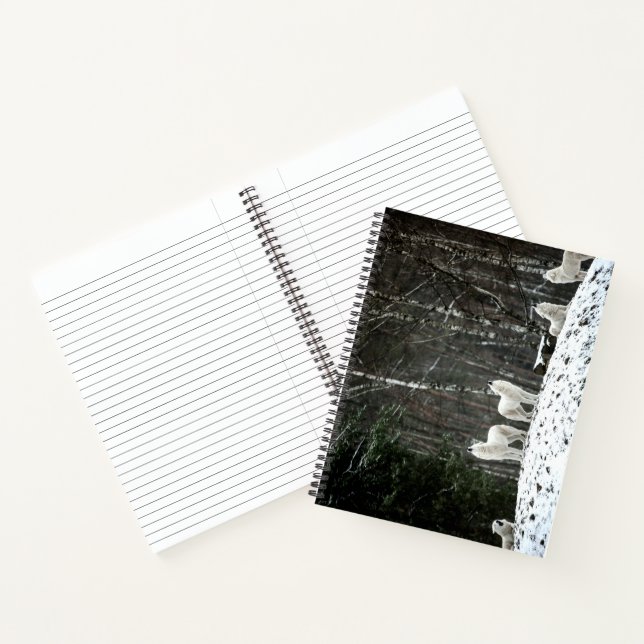 Cuaderno Wilderness Polar Wolf (Interior)