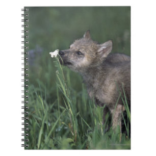 Cuaderno Wildflower de la montaña el oler del perrito de