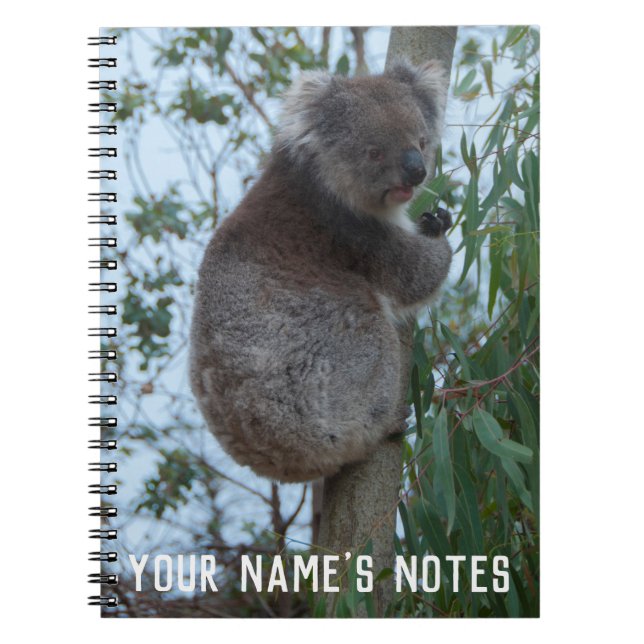 Cuaderno Wildife animal personalizado de Cute Koala (Frente)