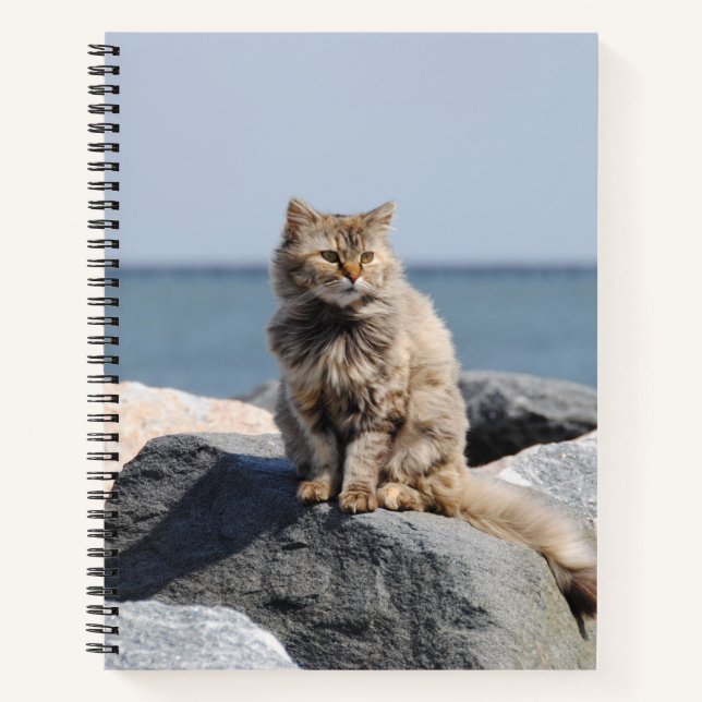 Cuaderno Windswept Cat at Seaside Cute Photo (Anverso)