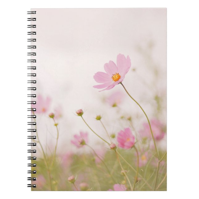 CUADERNO WINDY DAY (Frente)