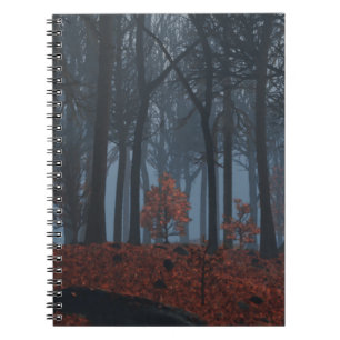 Cuaderno Winter deja equipo portátil