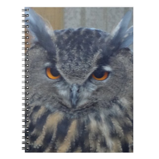 Cuaderno Wise One (Frente)