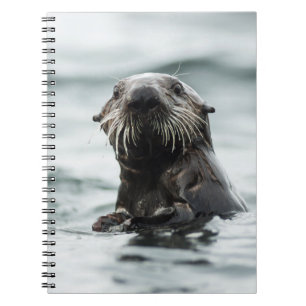 Cuaderno Wise Otter