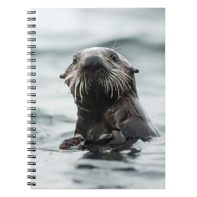 Cuaderno Wise Otter (Frente)