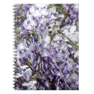 Cuaderno Wisteria