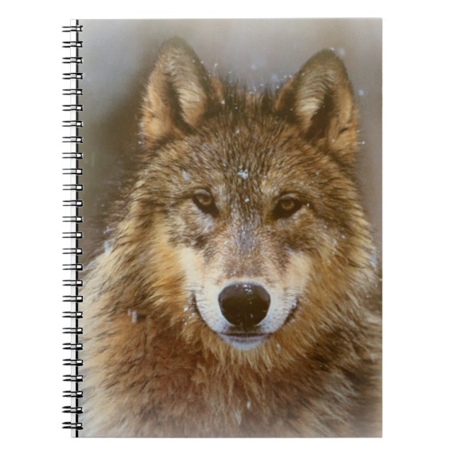 Cuaderno Wolf (Frente)