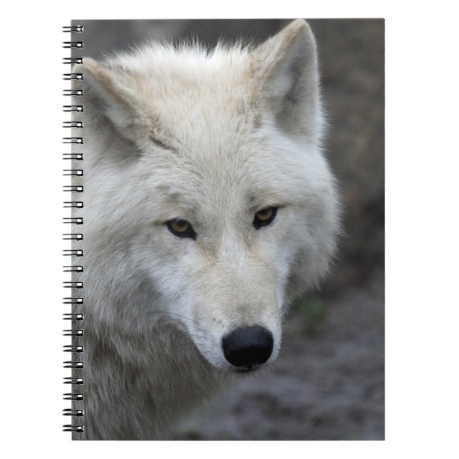 Cuaderno Wolf 015 (Frente)