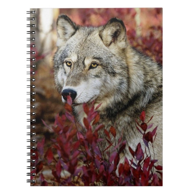 Cuaderno Wolf In Fall Foliage (Frente)