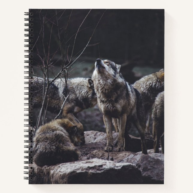 Cuaderno Wolf Pack (Anverso)