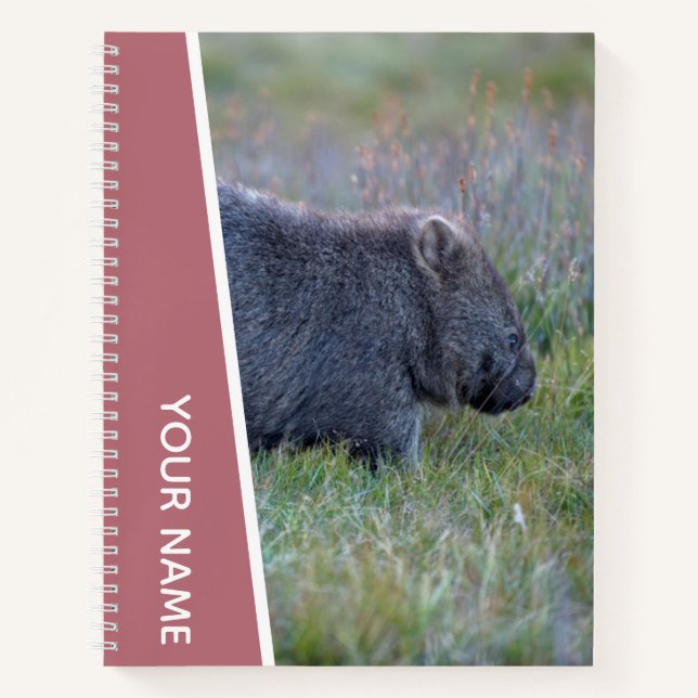 Cuaderno Wombat Australia, animal bruto, oro Rosa Personali (Anverso)