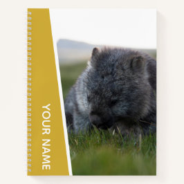 Cuaderno Wombat Australia Lindo Animal Comiendo, Oro