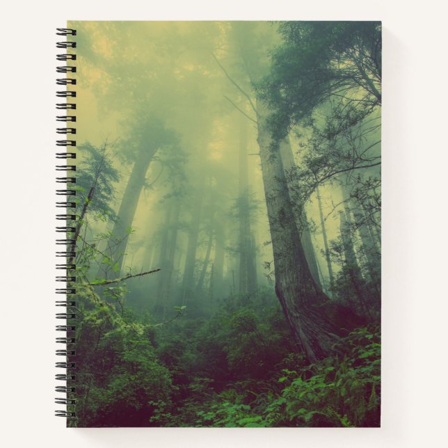 Cuaderno Woodland desde abajo (Anverso)