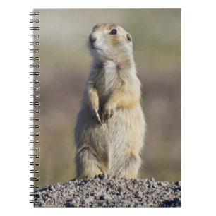 Cuaderno Wyoming, condado de Sublette, perrito de la prader