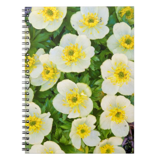 Cuaderno Wyoming, condado de Sublette, Primer plano de un g (Frente)