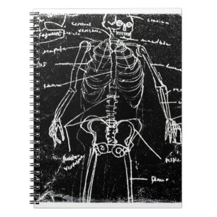 Cuaderno yaie tokyo esqueleto humano anatomía