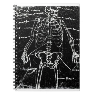 Cuaderno yaie tokyo esqueleto humano anatomía