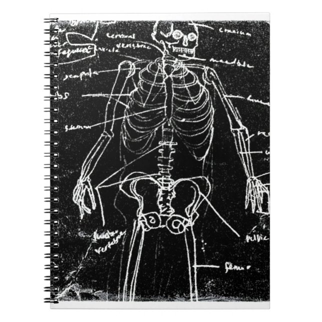 Cuaderno yaie tokyo esqueleto humano anatomía (Frente)