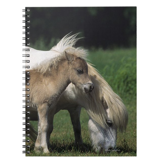 Cuaderno Yegua y potros miniatura 3 (Frente)