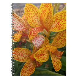 Cuaderno Yellow Canna Lily with Red Speckles Floral