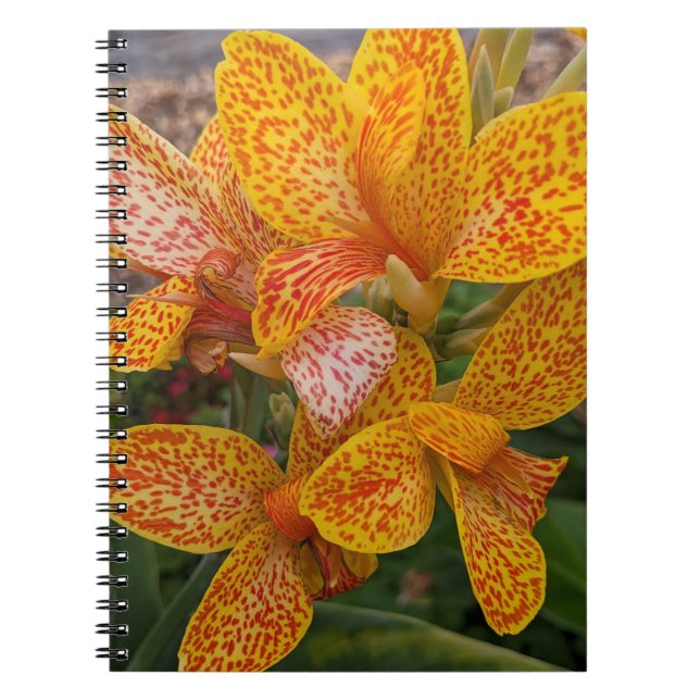 Cuaderno Yellow Canna Lily with Red Speckles Floral (Frente)