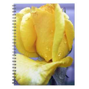 Cuaderno Yellow Rosebud