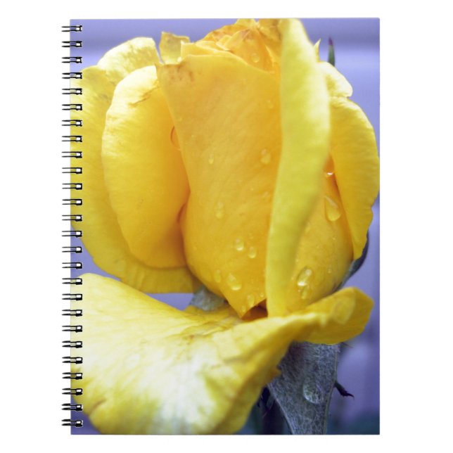 Cuaderno Yellow Rosebud (Frente)