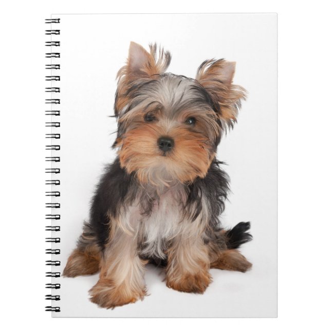 Cuaderno Yorkie (Frente)