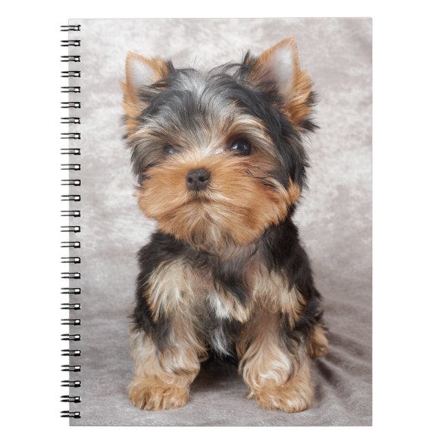 Cuaderno Yorkie maravilloso (Frente)